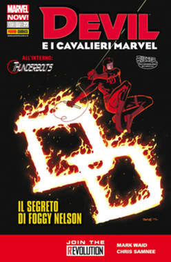 DEVIL E I CAVALIERI MARVEL (2012) - 22_thumbnail