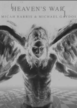 HEAVEN'S WAR - 1_thumbnail