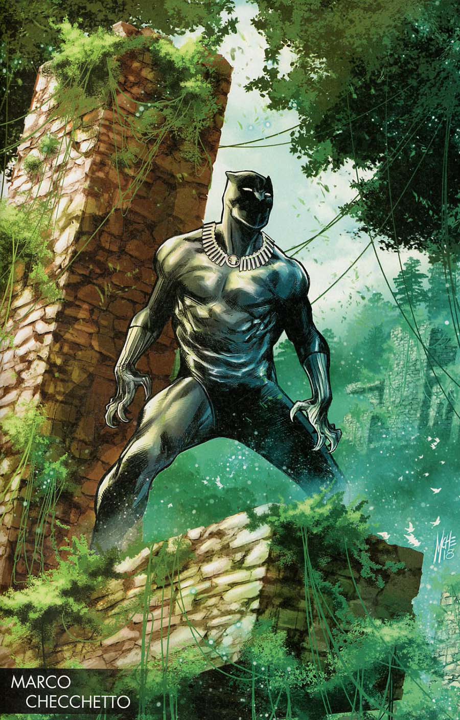A BLACK PANTHER (2016) Variant - 170_thumbnail A BLACK PANTHER (2016) Variant - 170_thumbnail
