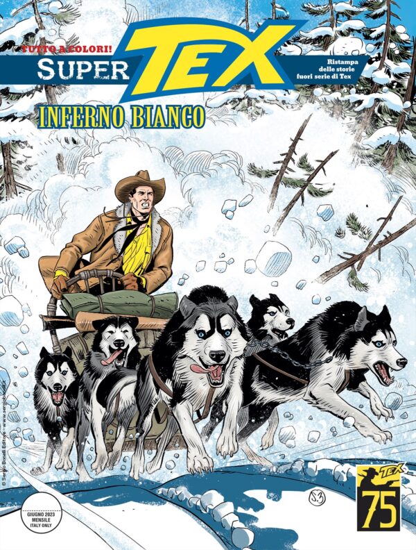 SUPER TEX - 20_thumbnail SUPER TEX - 20_thumbnail