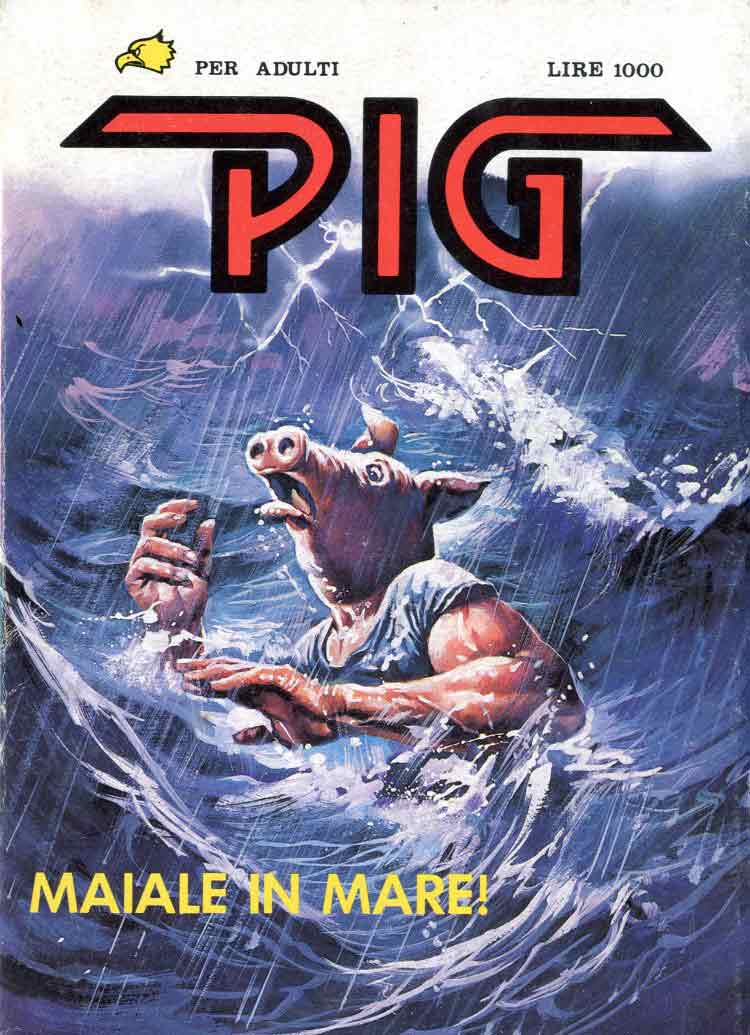 PIG - 13_thumbnail PIG - 13_thumbnail