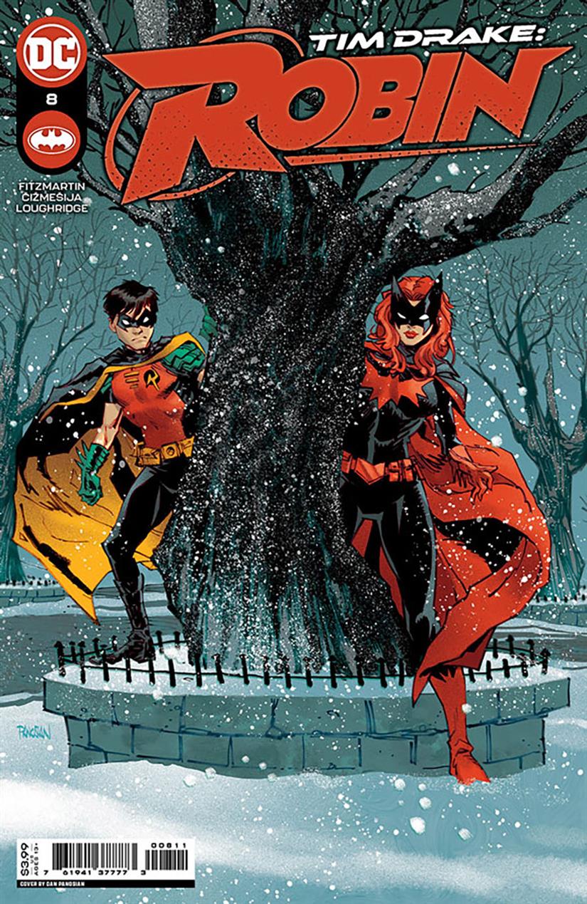 TIM DRAKE ROBIN (DC) - 8_thumbnail
