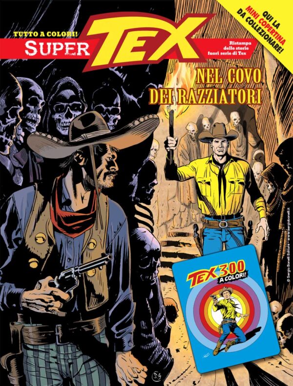 SUPER TEX - 18_thumbnail SUPER TEX - 18_thumbnail
