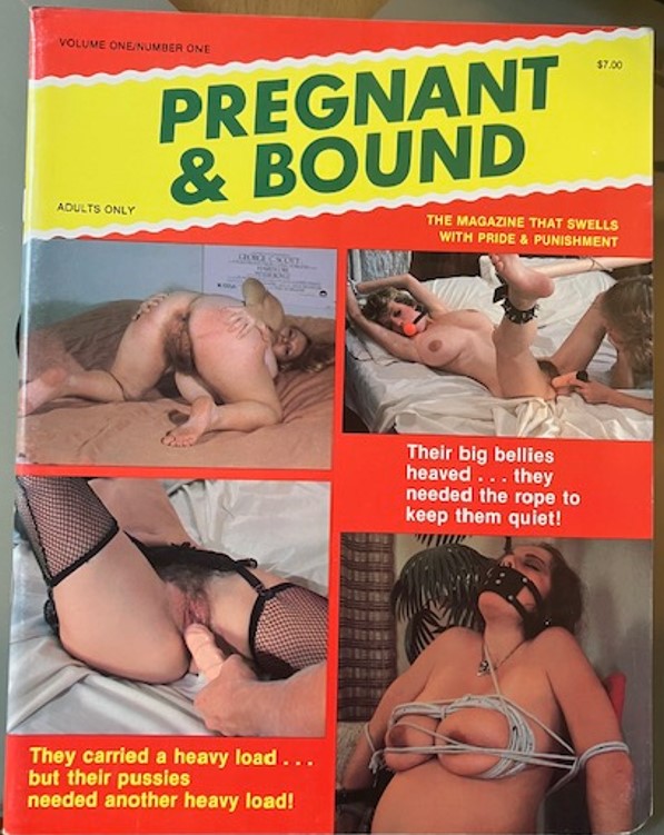 PREGNANT & BOUND - 1_thumbnail