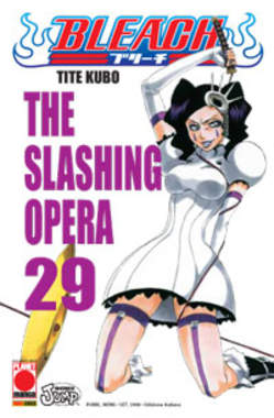 BLEACH - 29_thumbnail