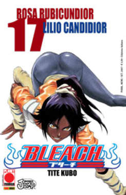 BLEACH - 17_thumbnail
