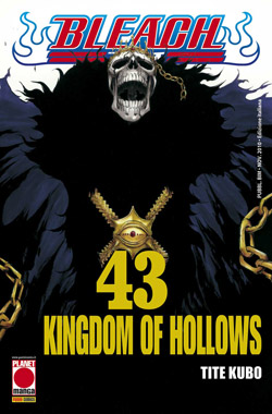 BLEACH - 43_thumbnail BLEACH - 43_thumbnail