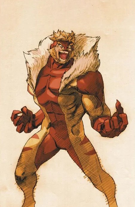 WOLVERINE (PANINI 2025) Variant - 12_thumbnail WOLVERINE (PANINI 2025) Variant - 12_thumbnail